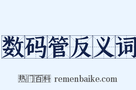 数码管反义词是什么意思的图片